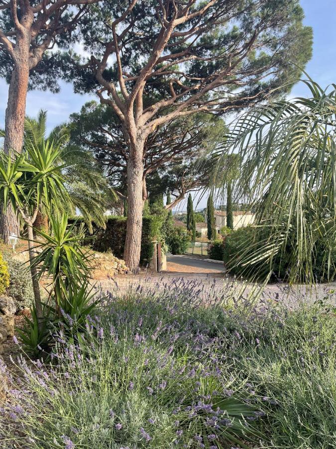 Paradis Provencal Sainte-Maxime Exterior photo